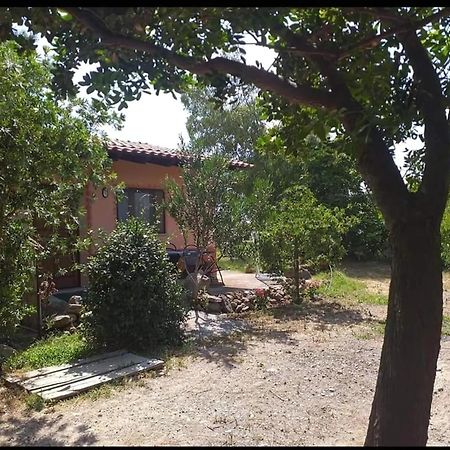 Affittacamere Sa Stella E Monti Marrùbiu Esterno foto