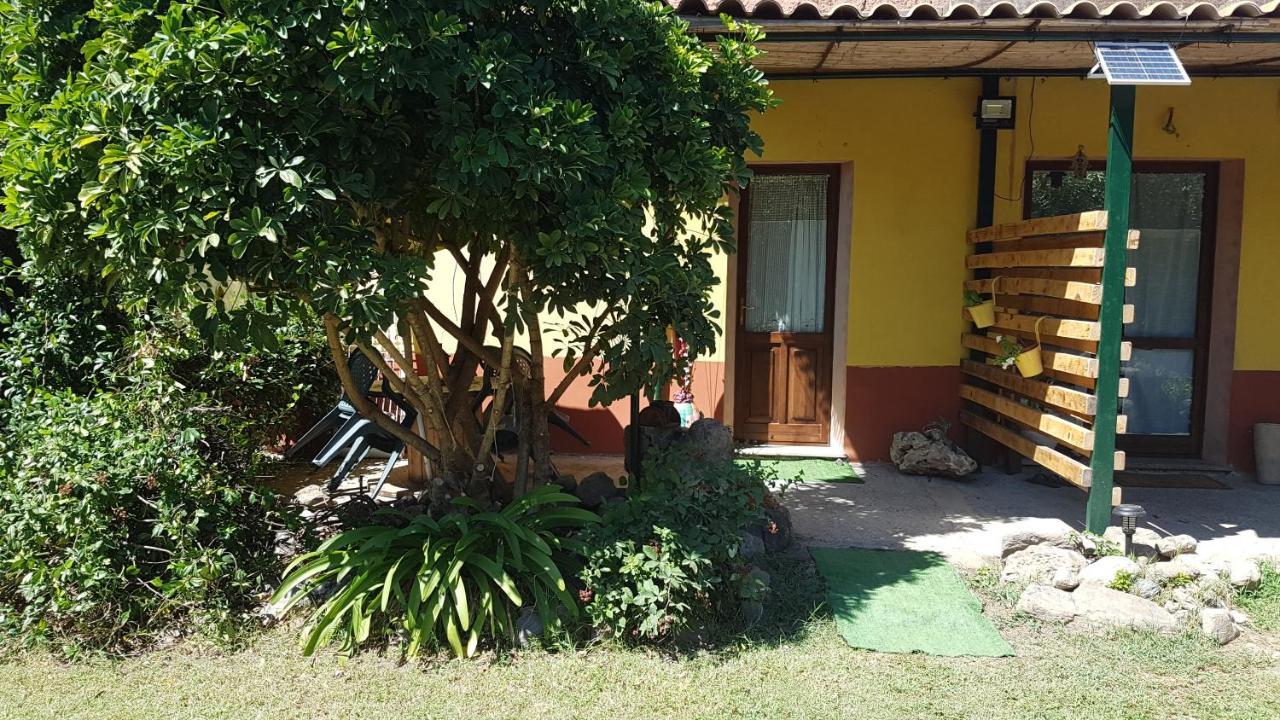 Affittacamere Sa Stella E Monti Marrùbiu Esterno foto