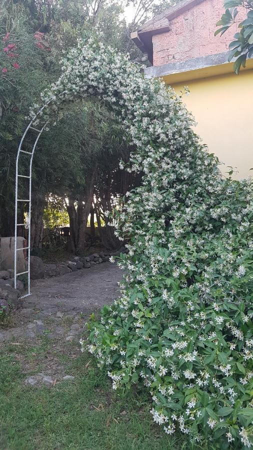 Affittacamere Sa Stella E Monti Marrùbiu Esterno foto
